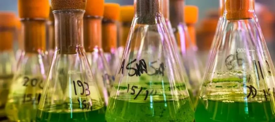 pierre-fabre-sag-001