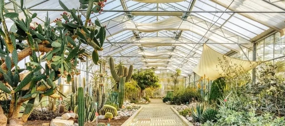 pierre-fabre-sag-002